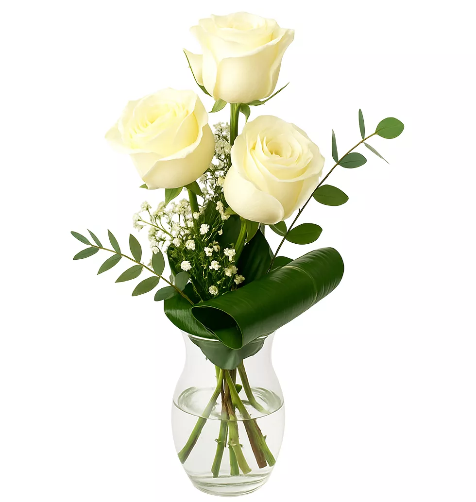 Calming White Rose Arrangement