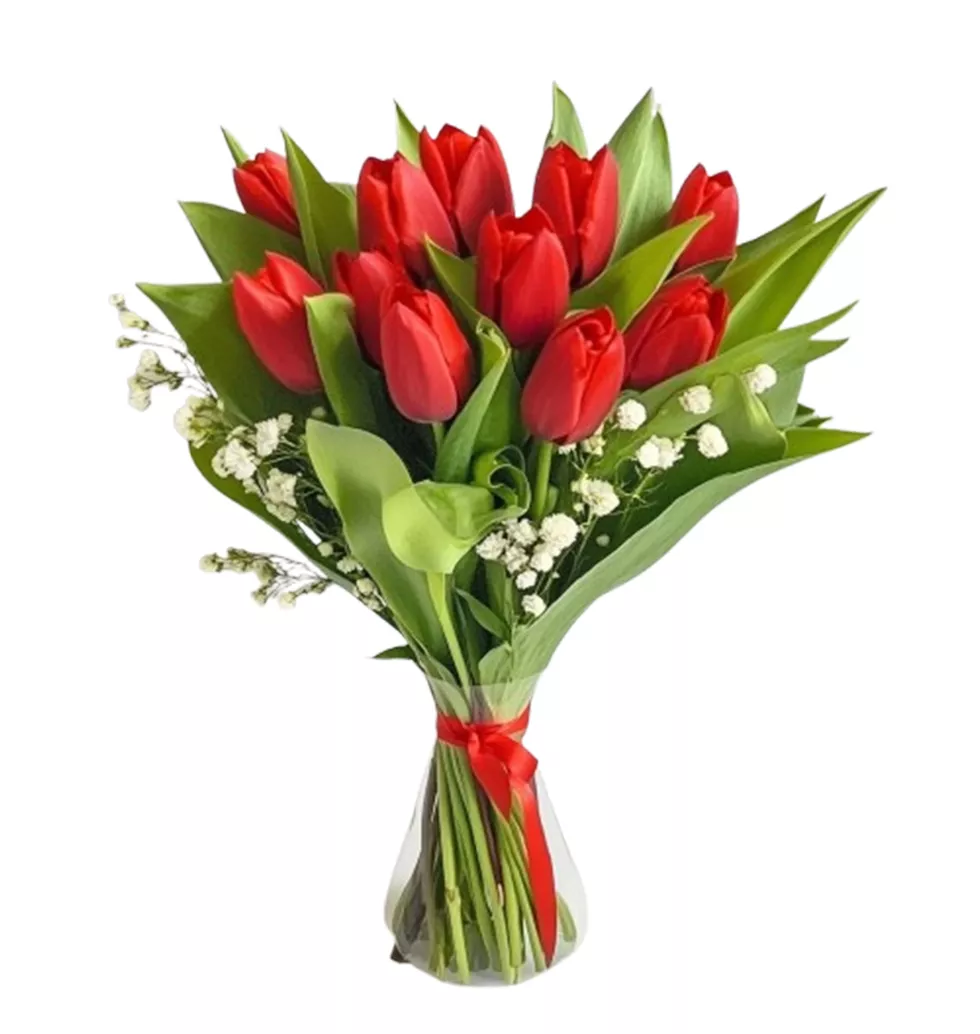 Charming Red Tulip Bouquet for Happiness